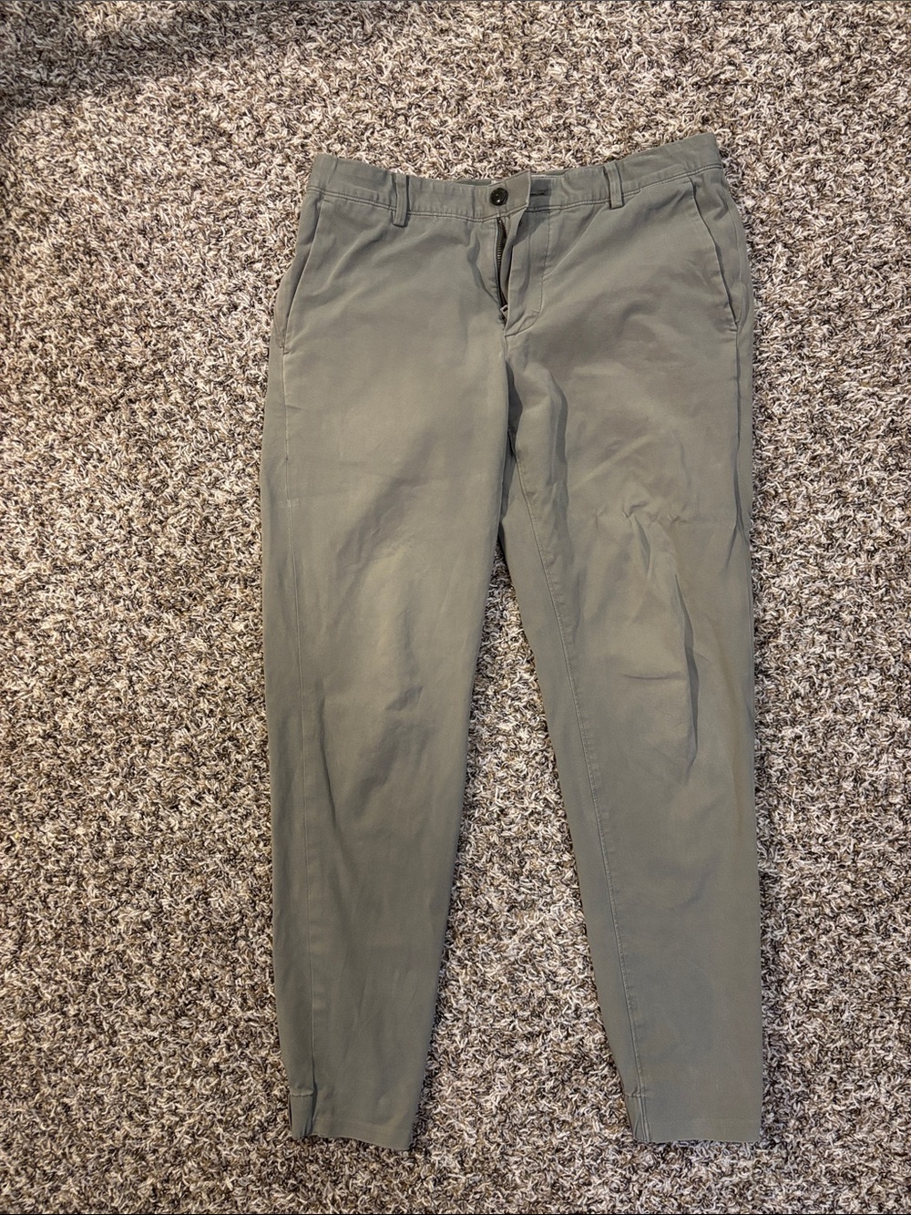 Everlane Olive Green Traveler Pants